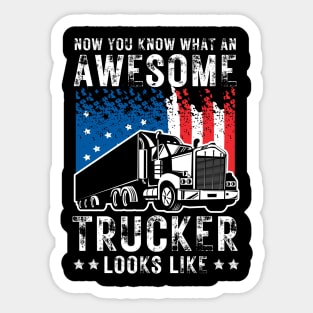 Now You Know What An Awesome Trucker Looks Like Sticker